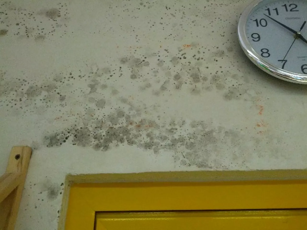 PER UN’ALTERNANZA SCUOLA-SCUOLA - "Pensieri di traverso" 3 unnamed file 1