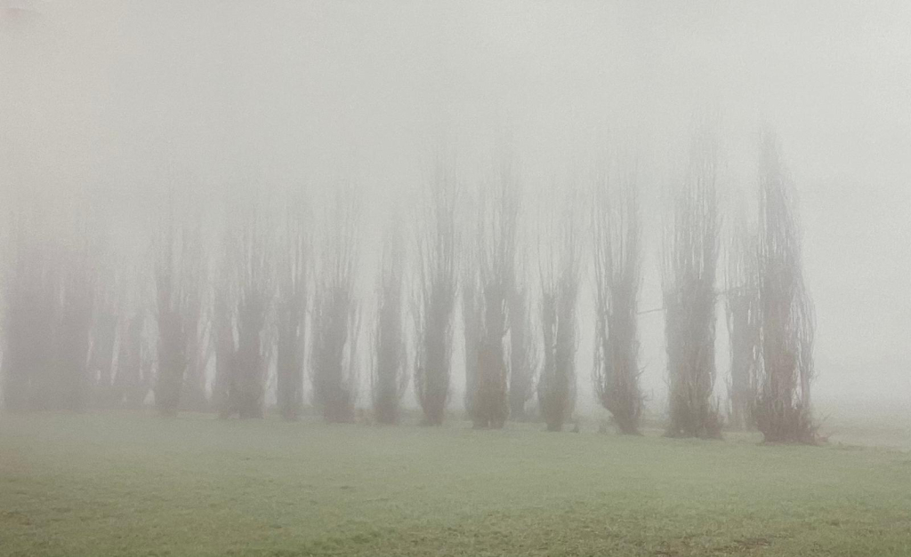 PHOTO 2025 12 25 10 55 05 1