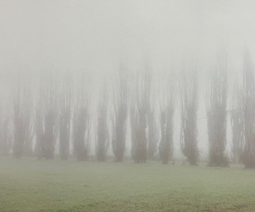 PHOTO 2025 12 25 10 55 05 1