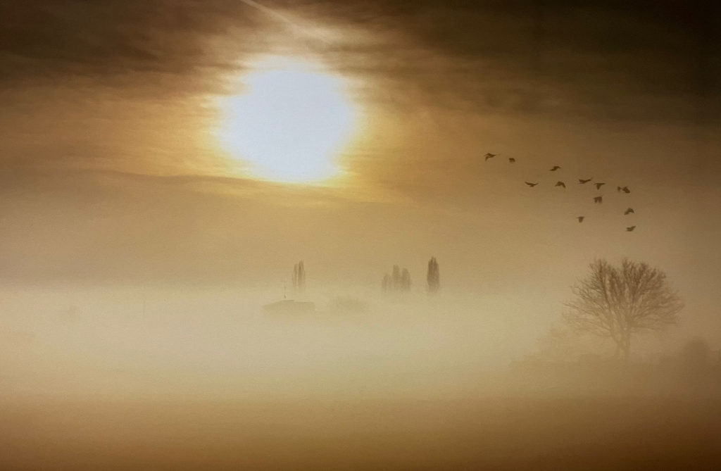 PHOTO 2025 12 26 12 12 56 1