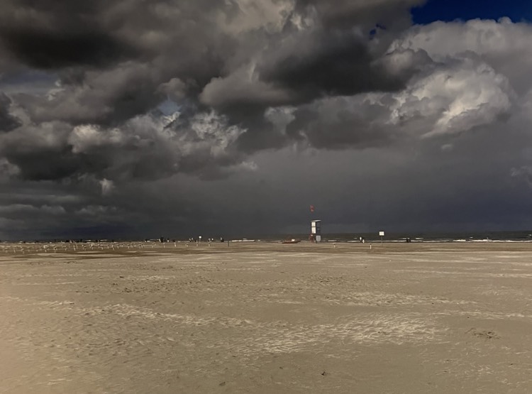 "Un anno di mare", il calendario 2026 di Maurizio Poli 1 IMG 1485